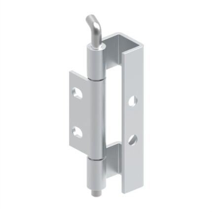 SKRIVENE BAGLAME (354)