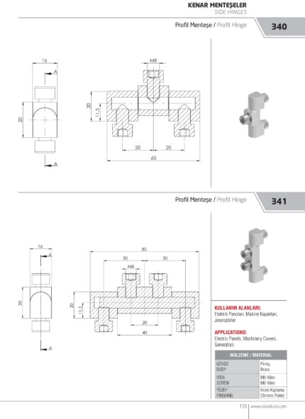 BAGLAMA ŠARKA (341)